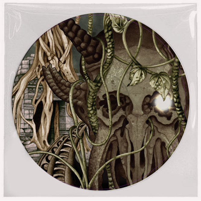 Godless Prophets & The Migrant Flora- Picture Disk back